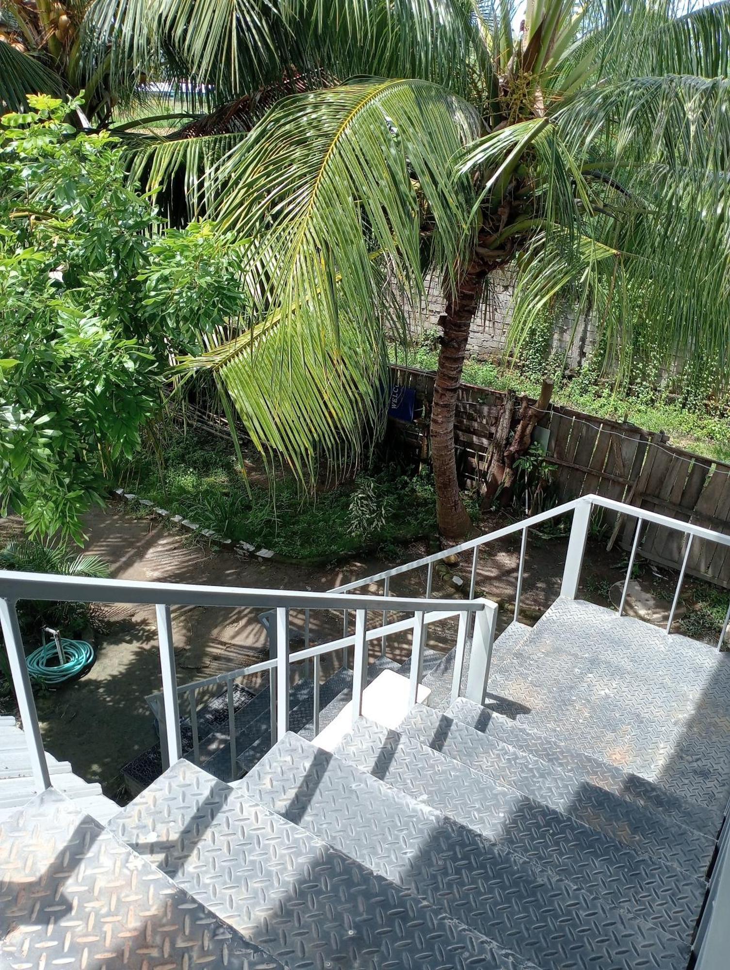 The Daun Puntik Homestay Pemenang Esterno foto