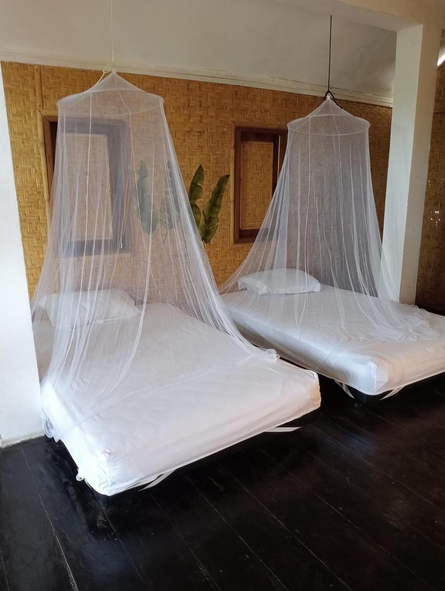 The Daun Puntik Homestay Pemenang Esterno foto